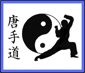 USA Martial Arts Tang So Doo Karate